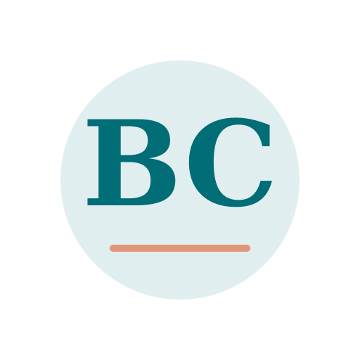 Brir Chimney Repair logo